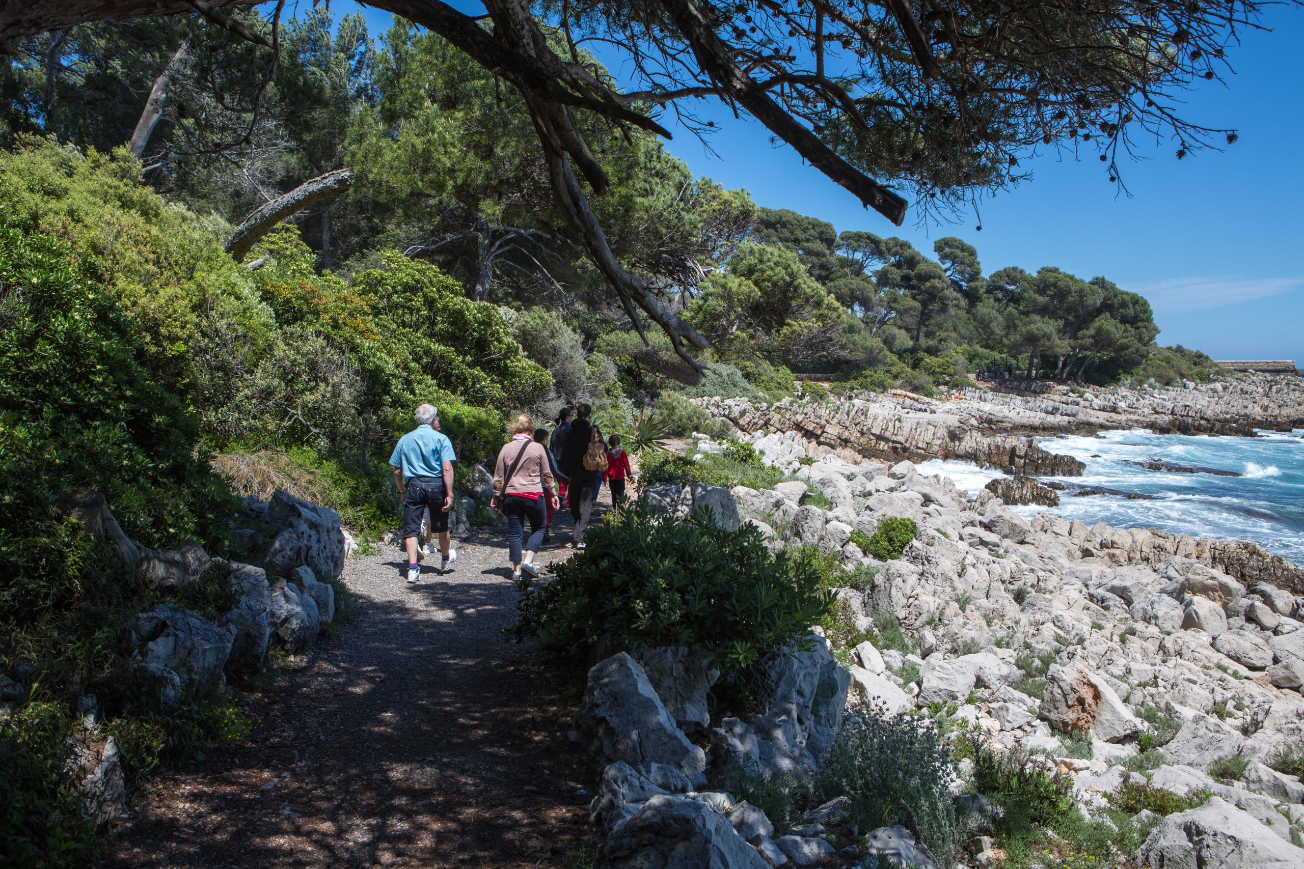 Le sentier de Tire-Poil : il décoiffe - Journal des plages