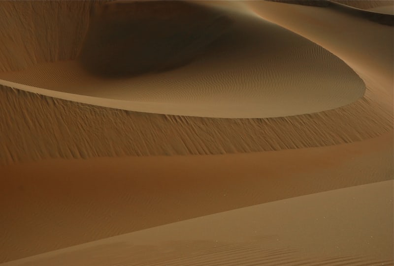 Sortie nature, entre dunes et vasières