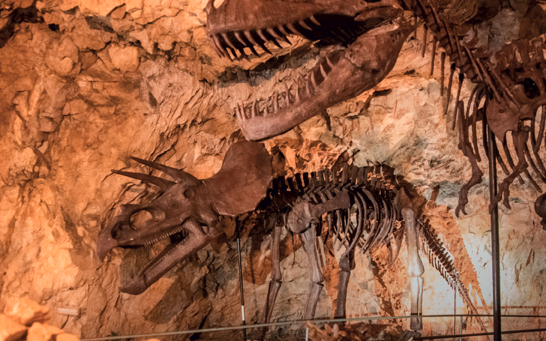 Un voyage préhistorique unique à la Grotte Cova Bastera