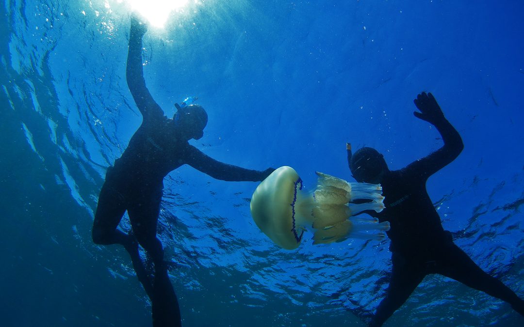 Comme un poisson dans l’eau